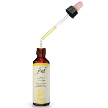 Bach flor Original Remedy Dropper Tojo Essência Flor - 20 ml. Bach - Image 4