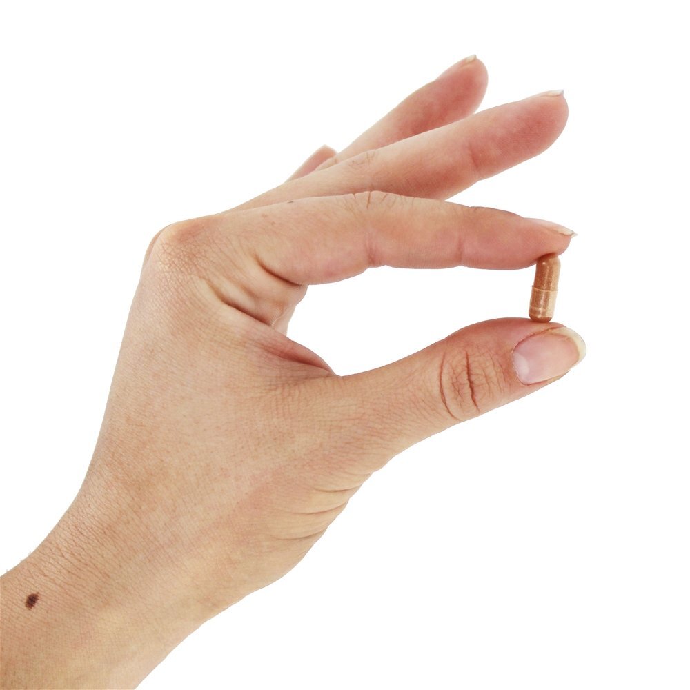 Pycnogenol 100 mg. - Cápsulas vegetarianas 60 Healthy Origins - Imagem 4