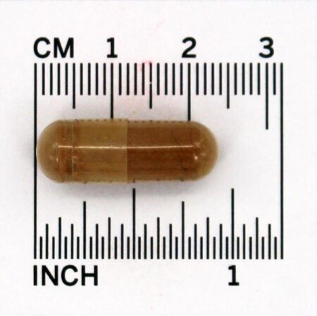 Rhodiola Rosea 500 mg. - Cápsulas 60 Jarrow Formulas - Image 4