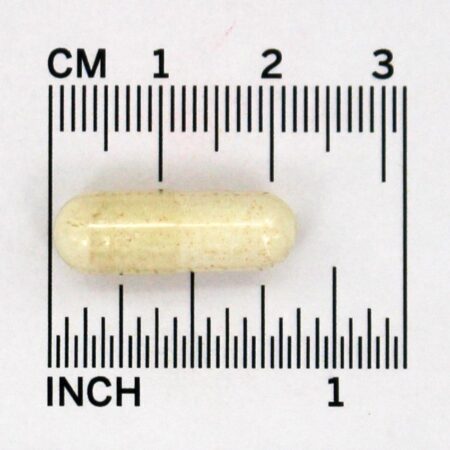 Selenium Synergy Selênio Ativado 200 mcg. – Cápsulas 60 Jarrow Formulas — foto 4