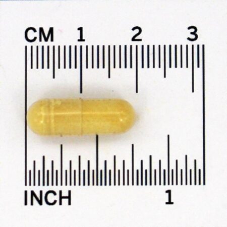 Extrato de Silymarin Padronizado de Cardo de Leite 30 : 1 150 mg. - Cápsulas 200 Jarrow Formulas - Imagem 4