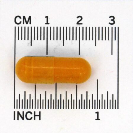 Curcumina 95 500 mg. - Cápsulas 120 Jarrow Formulas - Image 5