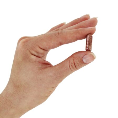 Zeaxantina com Luteína 10 mg. - Cápsulas 60 Source Naturals - Imagem 5