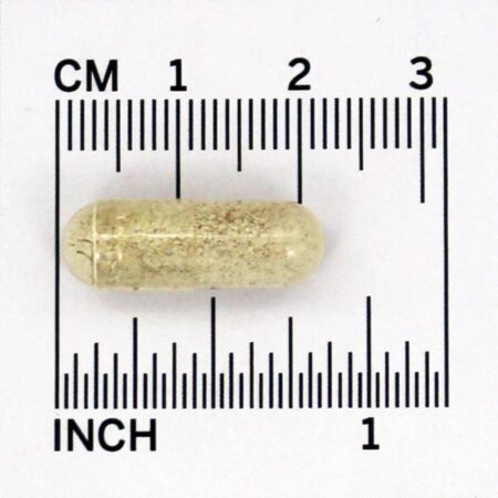 Alívio de fibromialgia natural de Fibro Malic - Cápsulas 180 Trask Nutrition - Imagem 4