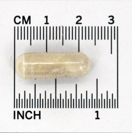 Extrato de Resina Boswellia - Cápsulas vegetarianas 60 Solgar - Image 5