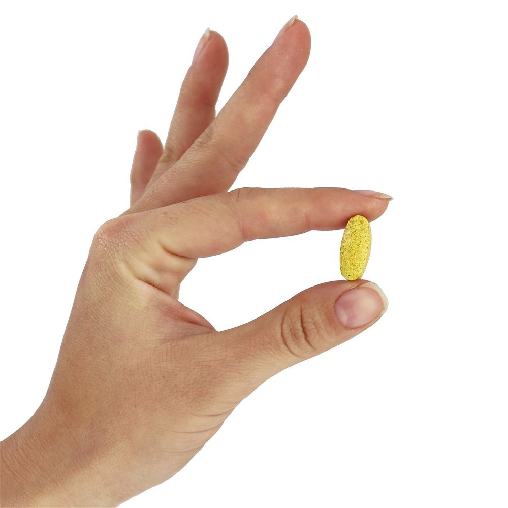 Men's Blend Multivitamínico Para Homens Livre de Ferro - 180 Tablets Super Nutrition - Imagem 6