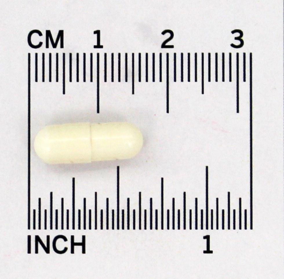 Fem Dophilus para Mulheres - Cápsulas 60 Jarrow Formulas - Imagem 5