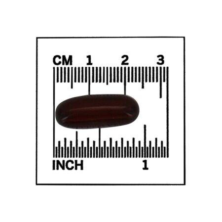 Dupla força da pantetina 600 mg. - 60 Softgels NOW Foods - Image 4