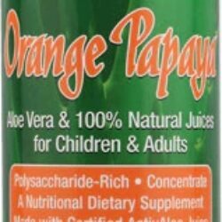 Suco Concentrado de Aloe Vera Integral 16 fl oz (473ml) Aloe Life - Laranja e Papaia