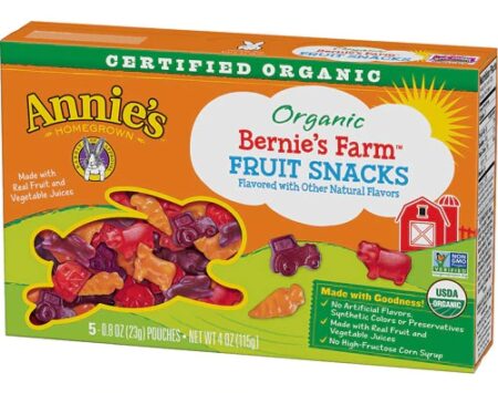 Annie's Homegrown Organic Bernie's Farm Fruit Snacks Natural Strawberry Raspberry & Orange -- 5 Pouches