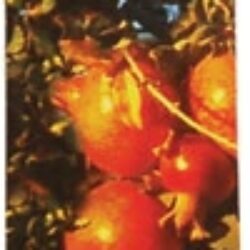 Incenso Patchouli Auroshikha Nature's Made - 16 Varetas (Aprox. 20g)