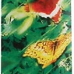 Incenso Auroshikha True To Nature Lavanda Francesa - 16 Varetas: Relaxamento Profundo e Aroma Puro