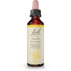 Essência Floral Bach Cerato 20ml - Confiança e Sabedoria Interior (Original)