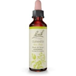 Essência Floral de Clematis Bach Original 20ml: Clareza Mental e Foco Revigorados