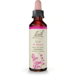 Florais de Bach Ulmeiro (Elm) 20ml - Alívio da Sobrecarga Mental e Stress