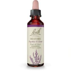 Essência Floral Bach Heather 20ml - Alívio para o Egoísmo e Solidão