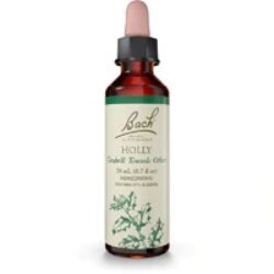 Florais de Bach Holly Essência 20ml - Amor Próprio e Compaixão