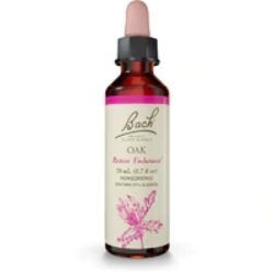 Essência Floral de Carvalho Bach Original 20ml - Alívio para o Esgotamento