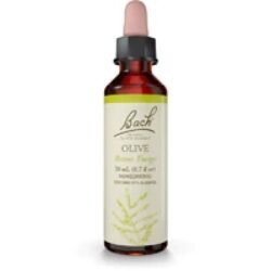 Essência Floral Bach Olive 20ml - Recuperação Pós-Doença e Exaustão