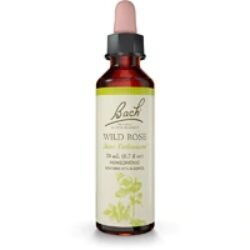 Essência Floral de Rosa Selvagem Bach Original - 20ml: Revitalize sua Energia e Bem-Estar