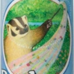 Protetor Labial Orgânico Badger Tangerine Breeze 4.25g - Hidratação e Nutrição Natural