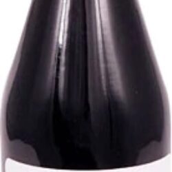 Suco de Sabugueiro Biotta 500ml - Puro Sabor e Bem-Estar Natural