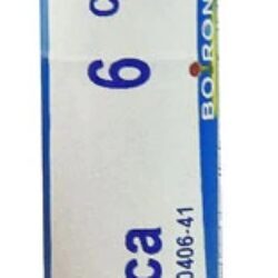 Boiron Apis mellifica 6C - 80 Pellets: Alívio Natural para Picadas e Inchaços