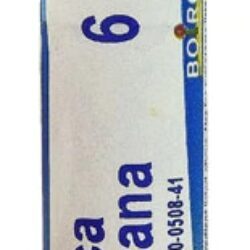 Boiron Arnica Montana 6C - 80 Pellets: Alívio Natural e Bem-Estar