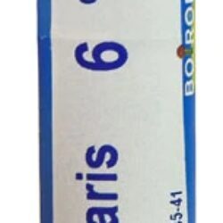 Boiron Cantharis 6C Homeopático - 80 Pellets para Bem-Estar Urinário e Cutâneo