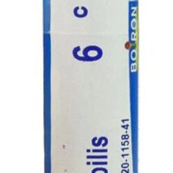 Boiron Carbo vegetabilis 6C - 80 Pellets: Alívio Natural para Desconfortos Digestivos e Mais