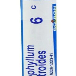 Boiron Caulophyllum Thalictroides 6C - 80 Pellets Homeopáticos para Bem-Estar Feminino