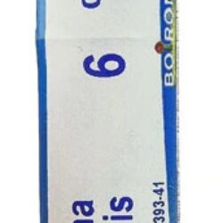 Boiron Cinchona Officinalis 6C - 80 Pellets Homeopáticos para Bem-Estar