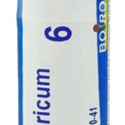 Boiron Phosphoricum Acidum 6C - 80 Pellets: Alívio Natural para Desgaste Mental e Emocional