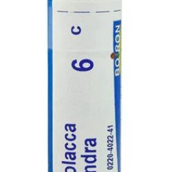 Boiron Phytolacca Decandra 6C - 80 Pellets Homeopáticos: Alívio Natural para Bem-Estar