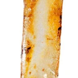 Osso de Costela Bovina Country Kitchen para Cães - 1 Osso Premium (Aprox. 200-300g)