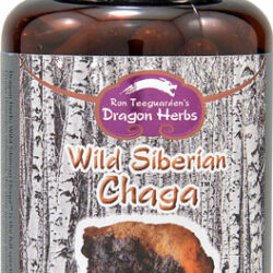 Dragon Herbs Wild Siberian Chaga™ 450mg NE - 100 Cápsulas: O Poder da Natureza Siberiana para sua Saúde