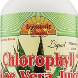 Clorofila Líquida com Aloe Vera e Hortelã - Dynamic Health 473ml