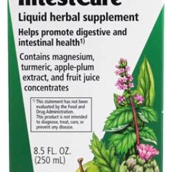 Flora Floradix IntestCare® - Suplemento Digestivo 240ml - Bem-Estar Intestinal