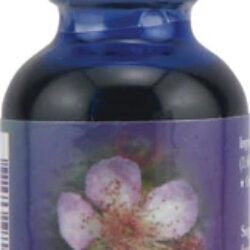 Essência Floral Amora (Blackberry) 30ml - Bem-Estar e Equilíbrio Emocional