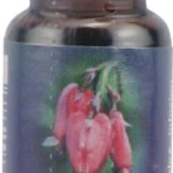 Essência Floral Coração Sangrento (Dicentra spectabilis) - 7.39ml (0.25 fl oz) - Bem-Estar Emocional