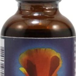 Essência Floral Papoula da Califórnia (Eschscholzia californica) 30ml – Bem-Estar e Tranquilidade Natural