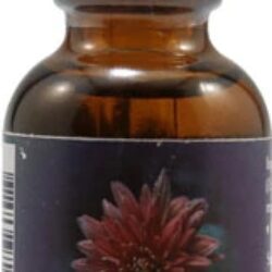 Essência Floral Crisântemo - 30ml: Equilíbrio Emocional e Bem-Estar Natural
