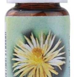 Essência Floral Clematis Suplemento Herbal 7.39ml: Clareza Mental e Bem-Estar Emocional