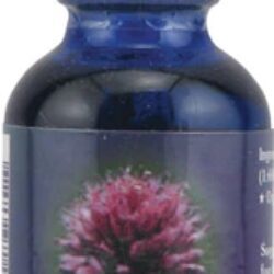 Extrato de Alho FES Quintessentials™ 30ml: Seu Aliado Natural para Bem-Estar Integral