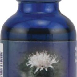 Suplemento Herbal de Menta Montanha Flower Essence - 30ml: Alívio Natural e Bem-Estar