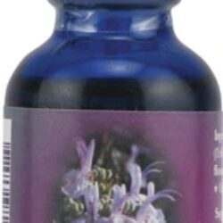 Floral de Alecrim FES Quintessentials™ 30ml: Vitalidade e Clareza Mental
