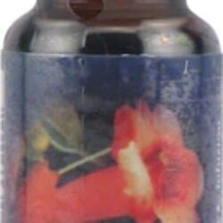 Florais FES Quintessentials™ Trumpet Vine (Cipó-trombeta) - 7.4ml para Bem-Estar Emocional