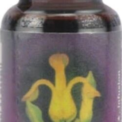 Essência Floral Golden Ear Drops 7.4ml: Alívio Natural para Seus Ouvidos