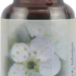 Florais de Bach Cherry Plum (Ameixeira) 7.5ml - Flower Essence Healing Herb: Equilíbrio Emocional e Paz Interior