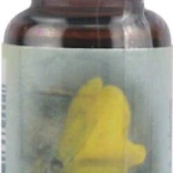 Florais de Bach Gorse Essência Curativa 7.3ml - Revitalização Emocional e Bem-Estar